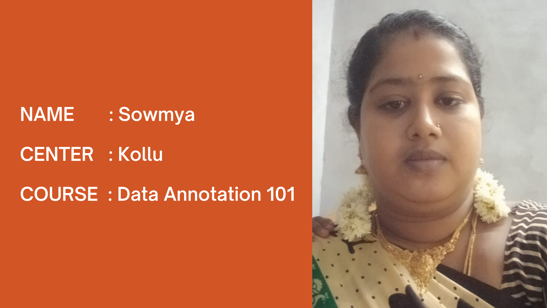 Data Annotation 101 - Sowmya