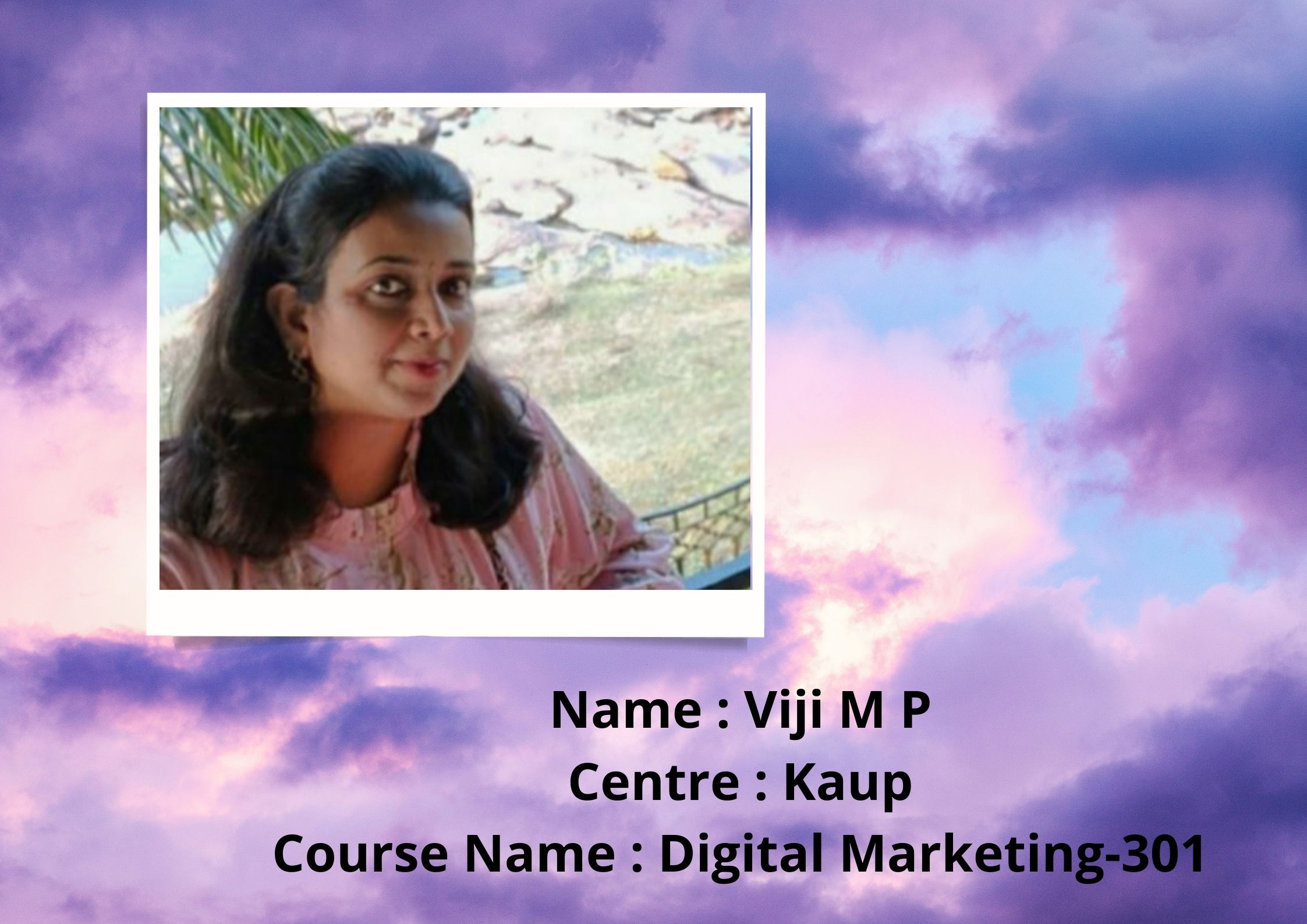 Fundamentals Of Digital Marketing - 301 - Viji M P