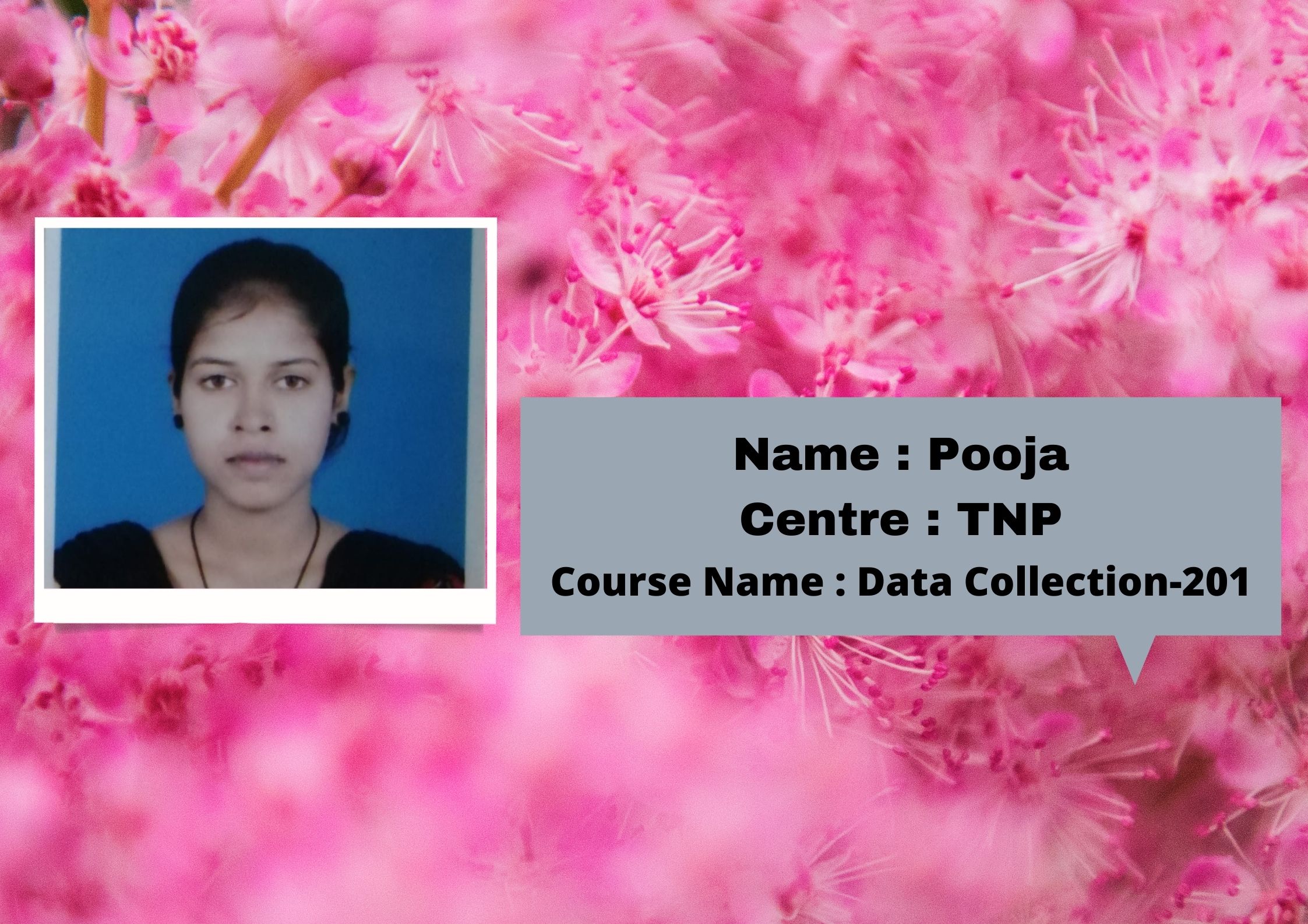 Data collection 201-Pooja